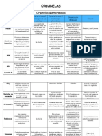 Seminario Organelas