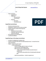 Deep Neck Spaces PDF