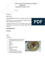 Trabalho Acupuntura e Plantas Medicinais