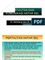 Pertautan Dan Komunikasi Antar Sel