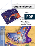 Neurotransmisores