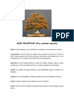 Ficha de Mantenimiento - Acer Palmatum