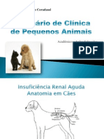 Insuficiência Renal Aguda