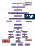 Pathophysiology RHD