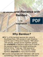 Bamboo PDF