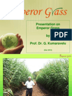 Emperor Grass Presentation