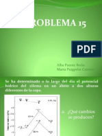 Problema 15