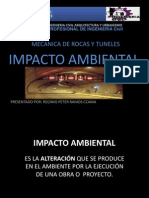 Impacto Ambiental