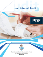 Internal Audit Basics