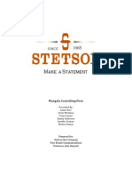 Stetson MKTG Plan