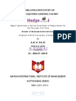 An Organisation Study of Hedge Equities