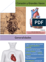 Corazon y Grandes Vasos PDF