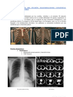 Patologia Pulmonar