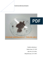 Relatorio Ciclo Do Cobre