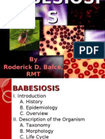 BABESIOSIS