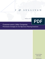 OrgaSystems-FS Customer-Centric-Utility WP 2012sep 0