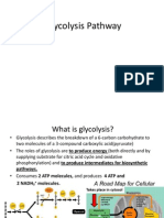 Glycolysis