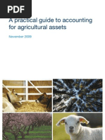 PWC Agricultural Assets Accounting