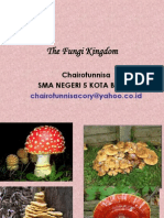 The Fungi Kingdom: Chairotunnisa Sma Negeri 5 Kota Bekasi