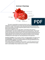 Anatomy Myocardial Infarction