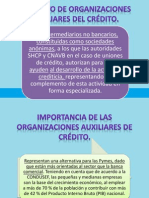 Expo Org Auxiliares Del Credito