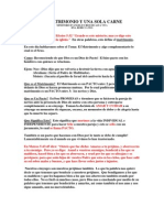 El Matrimonio y Una Sola Carne