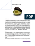 PALTA Caratula