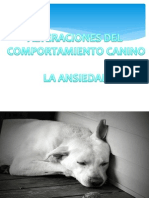 Ansiedad en El Perro PDF