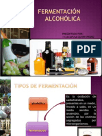 Fermentacion Alcoholica