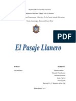 Historia Del Pasaje Llanero