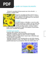 Girasol