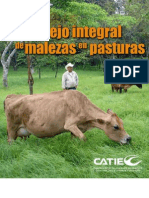 Manejo Integral de Malezas