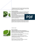 Nutricion de La Moringa