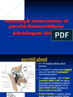 Parotid, Submand - Gl.