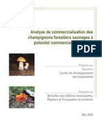 Analyse Commercialisation Champignons Potentiel Commercial PDF