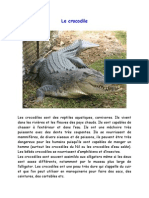 Le Crocodile Activité