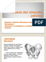 Musculos Del Cinturon Pelvico