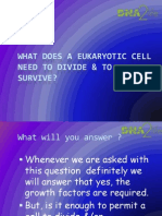 DNA2life - What Does A Cell Need To Divide &survive