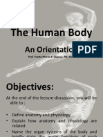 Ana&Physio 1 - The Human Body - An Orientation