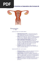 Esterilização Feminina Ou Laqueadura Das Trompas de Falópia