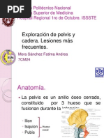 Exploracion de Pelvis y Cadera. Lesiones Más Frecuentes