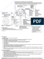 Esquema o Estructura de La Teoria Del Vinculo de Pichon Riviere PDF