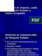 Sindrome Do Impacto e Lesao Do Manguito Rotador