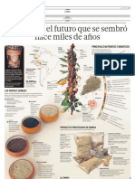 Infografía de La Quinoa