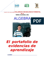 Portafolio de Evidencia ALGEBRA 2012