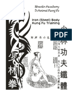 Work Book Shaolin Iron Body Kungfu Draft