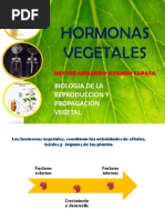 Hormonas Vegetales