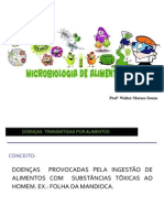 Importância Dos Microrganismos No Alimento