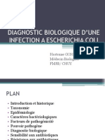 Escherichia Coli