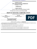 BMP Sunstone CORP 8-K (Events or Changes Between Quarterly Reports) 2009-02-20